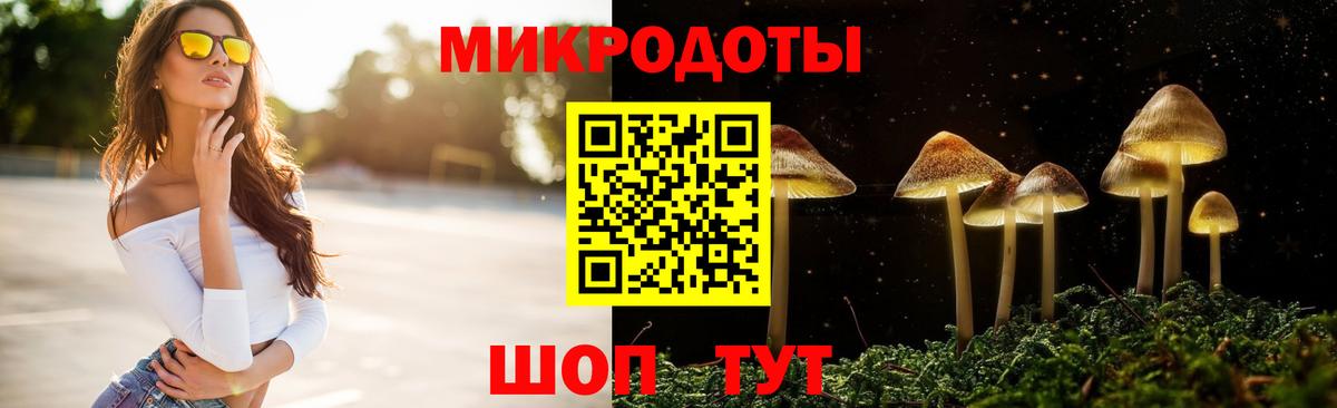Псилоцибиновые грибы Psilocybe Анапа